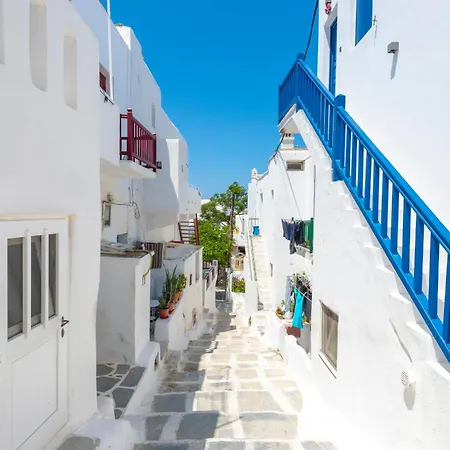 White And Grey Chora *
